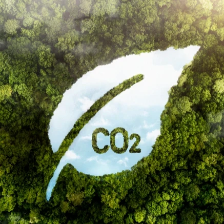 Reduce tu Huella de Carbono